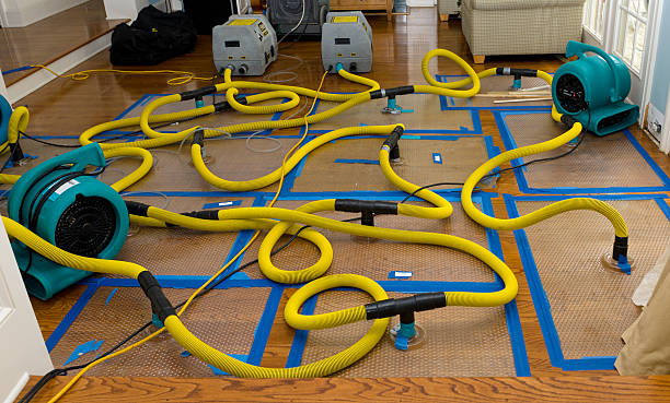 Professional Burst Pipe Water Damage technician working in Wood-Ridge, NJ